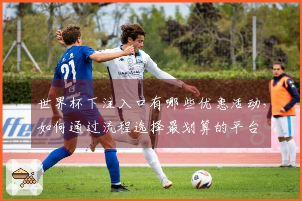 世界杯下注入口有哪些优惠活动，如何通过流程选择最划算的平台