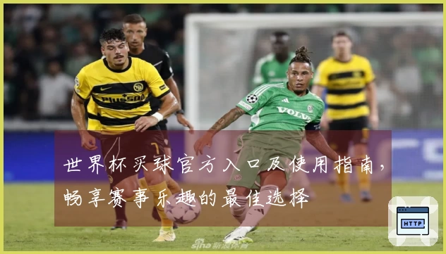 世界杯买球官方入口及使用指南，畅享赛事乐趣的最佳选择