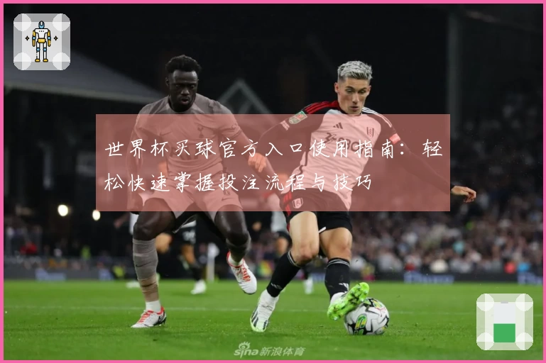 世界杯买球官方入口使用指南：轻松快速掌握投注流程与技巧