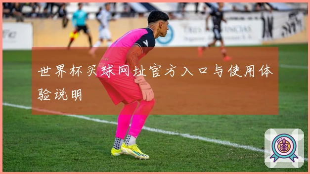 世界杯买球网址官方入口与使用体验说明