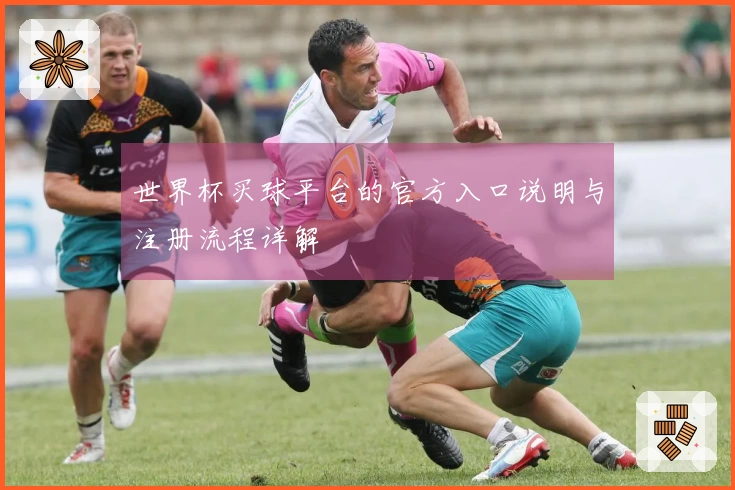 世界杯买球平台的官方入口说明与注册流程详解