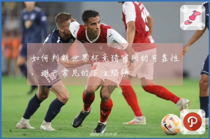 如何判断世界杯竞猜官网的可靠性，避开常见的下注陷阱