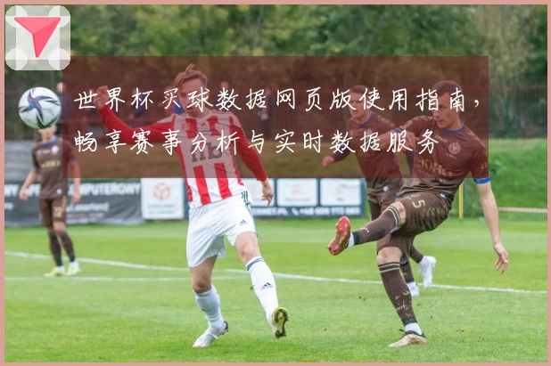世界杯买球数据网页版使用指南,畅享赛事分析与实时数据服务