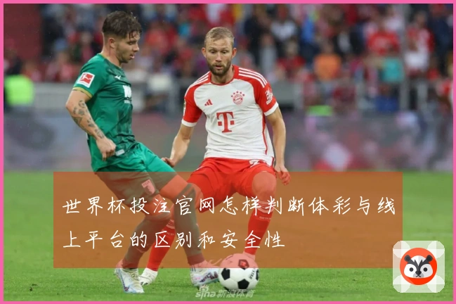 世界杯投注官网怎样判断体彩与线上平台的区别和安全性