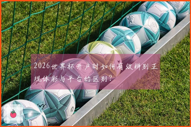 2026世界杯开户时如何有效辨别正规体彩与平台的区别?