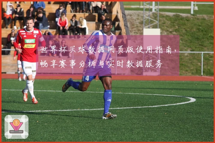 世界杯买球数据网页版使用指南，畅享赛事分析与实时数据服务