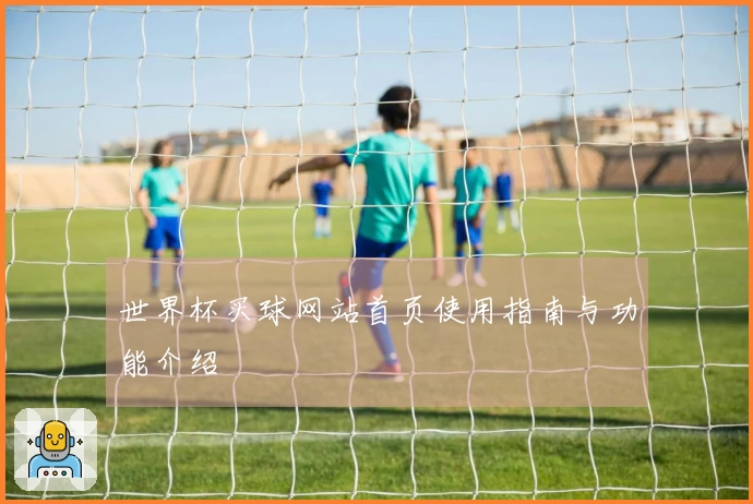 世界杯买球网站首页使用指南与功能介绍