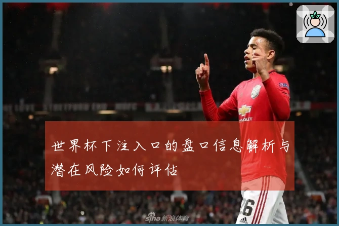 世界杯下注入口的盘口信息解析与潜在风险如何评估