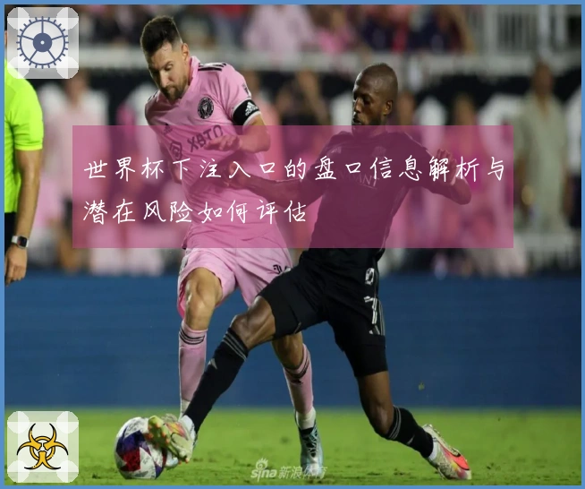 世界杯下注入口的盘口信息解析与潜在风险如何评估