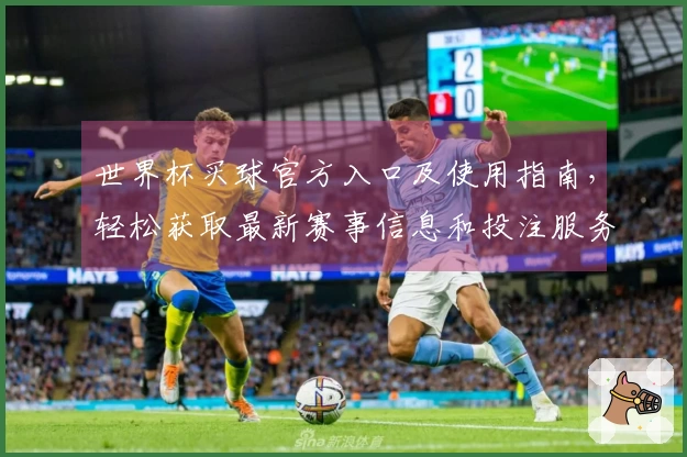 世界杯买球官方入口及使用指南，轻松获取最新赛事信息和投注服务