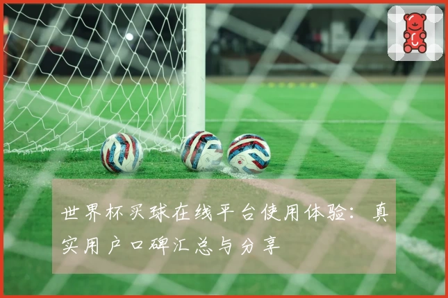 世界杯买球在线平台使用体验：真实用户口碑汇总与分享